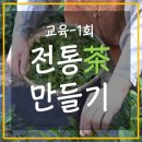 제다농수산 | 교육프로그램 - 1회차 '전통 茶 만들기'