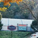 서촌농장 | 즐기는 다양한 방법을 전하는 퍼머컬처 농장 [우들라 농장] 방문기 - 우들라이프 마켓, 밸런스 플로우...