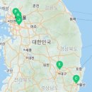 대익보이차 울산장검점