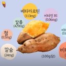 고구마짐 이미지