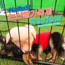 논산시 관광안내소 | 2025년 논산딸기축제 후기 [by HaRu]