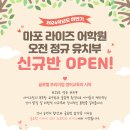 마포라이즈어학원 이미지