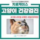 길음동물병원 이미지