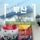 세일러스토어 - 439162 | 해운대 미피스토어 내돈내산 후기 부산 여행 기념품 추천
