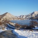 보아스 팜 스테이 이미지