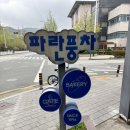 파란풍차 | 김해 빵지순례 필수코스, 파란풍차 베이커리 김해연지점 솔직후기
