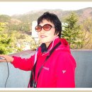 희봉선생 이미지