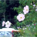 산내들낚시터 이미지