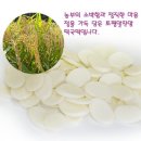 모산정보화마을참방앗간