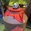 분당정자1-D-12 | 분당 정자역 회식하기 좋은 룸 중식당 소소 객잔 후기