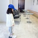 허니 Daum카페