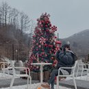 발리펜션 | 서울근교 가평 풀빌라 춘천펜션 발리376 가족여행후기