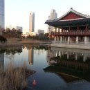 해송초등학교 앞 이미지