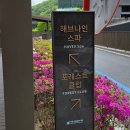 힐링키친 | 제천 가족 여행 힐링 숙소 호텔 추천 레스트리 리솜 S30 조식 몬도키친 꿀팁 후기