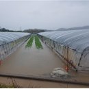 광암축산2 이미지