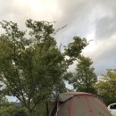 동강전망자연휴양림 이미지