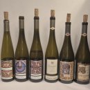 (주)일월세미컴 | 도멘 마르셀 다이스 라인별 시음 후기 [Domaine Marcel Deiss]