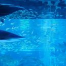 삼송백호태권도장 이미지