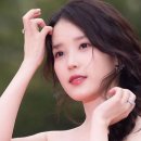 클로버. (clover)37 이미지