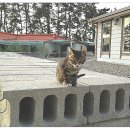 법수농원 이미지