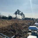 수원-1345 이미지