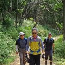 고양누리길 12코스 고양동누리길 이미지