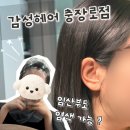 천연 - 강서구 마곡중앙6로 85 | 임산부 염색 가능할까? 광주 감성헤어 충장로점 천연염색 내돈내산 후기💇🏻‍♀️