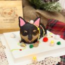 카페 댕하루 이미지