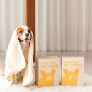 풀스테이 이미지