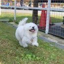 율하동물약국 이미지