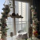 새론 | 집에서 셀프로 돌잔치 준비, 더백일 새론상으로 완성한 셀프돌상 후기 🎂👶🏻