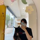 쁘띠앤독 | 광주 북구 운암동 쁘띠앤독 애견미용 후기🐾