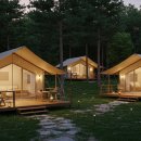 텐타우스 이미지