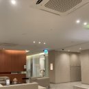 한나타워 | 강남 에스테틱, 내돈내산으로 관리받고 있는 뷰티한나 솔직후기
