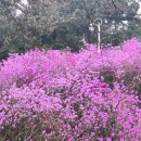 오정구 까치로20번길 13-7 이미지