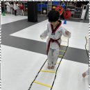 신세계 태권도 이미지