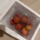 서우네 | 자두 추천 과즙가득한 새콤달콤 피자두 은채와 서우네 네이버 스토어팜 구매후기