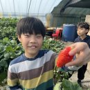 힘찬나래 태권도 이미지