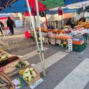 계룡장
