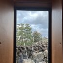 선현재 | [제주도 여행 day 3]제주카페 커피템플/제주공항 낙지볶음맛집 시골길/아르떼뮤지엄제주/도치돌알파카...