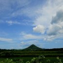 호니포니