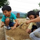 규보 네이버블로그