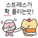 순자네포차싸롱 이미지