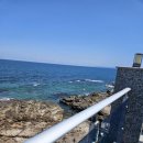 씨엔242펜션 | 포항오션뷰펜션 애견동반가능한 씨엔242 펜션에서 힐링 하고 왔어요.