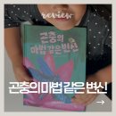 내 손으로 만드는 설화그림책 | 곤충의마법같은변신 키위북스 신간 후기, 독후활동까지! 초등 과학그림책 추천