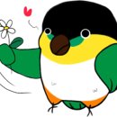 나의 단짝 반려동물 이미지