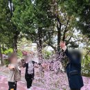 다조아건강쎈타 네이버블로그