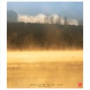 강가에아침 이미지