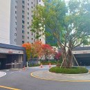 유원당구장 이미지