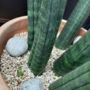 두배로공인중개사사무소 이미지